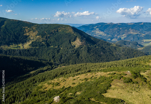 Aerial drone photo of green forest in mountain park