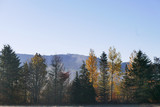 A simple Oregon landscape with colorful deciduous trees and evergreens