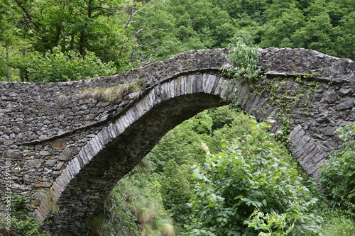 An ancient curved bridge