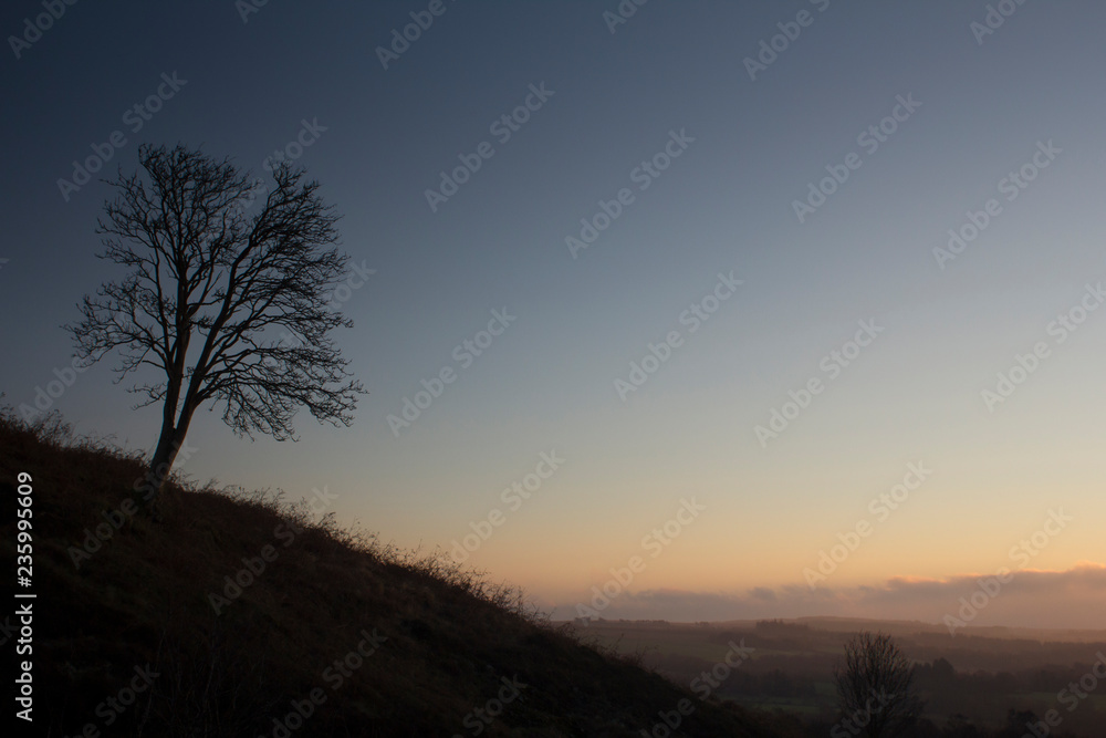 silhouetted tree against a beautiful sunrise in the Scottish highlands on a winters day