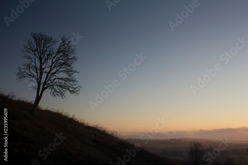silhouetted tree against a beautiful sunrise in the Scottish highlands on a winters day