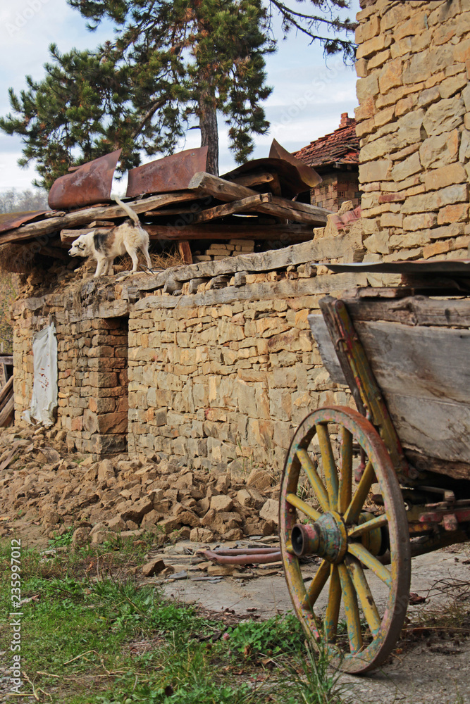 Old cart in the foreground, barking dog on the ruins of a barn in the backgroud, at Debnevo, Bulgaria