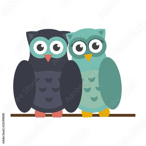 Cute owls cartoons