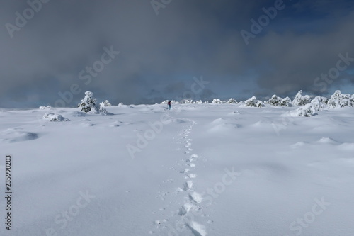 Wallpaper Mural Pisadas en la nieve Torontodigital.ca