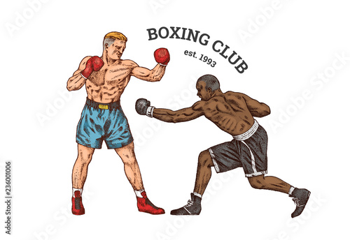 Boxers are training. Sport strong men fight. Vintage monochrome illustration. Hand drawn.