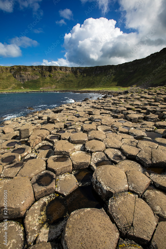 Fototapeta premium The Giant's Causeway in Northern Ireland