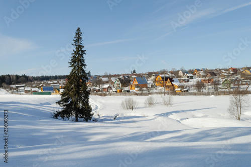 Country winter landscape with solitary fir tree