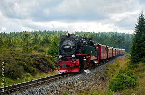 Fototapeta Naklejka Na Ścianę i Meble -  old steam train railway brockenbahn