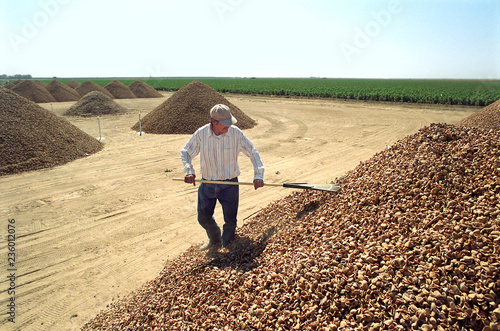 Almond Farmers