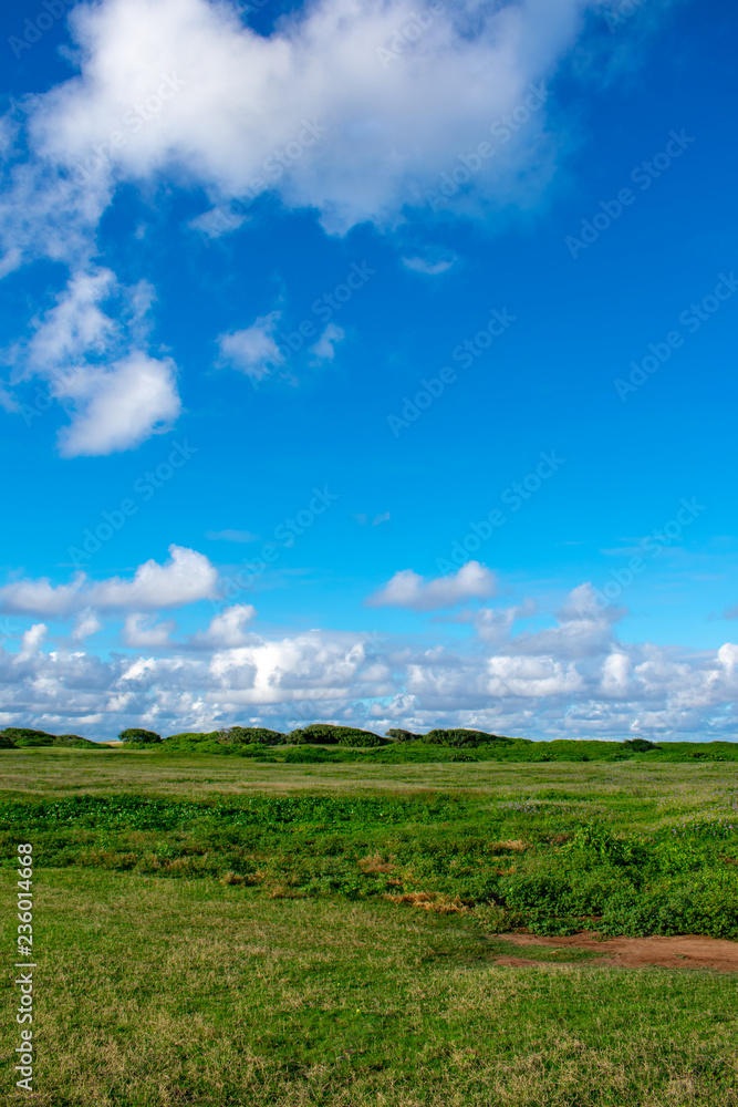 Wide Open Field Under the Blue Sky