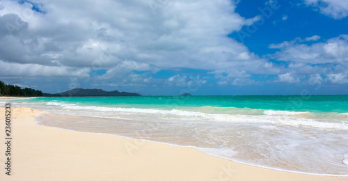 Gorgeous Tropical Island Beach in Hawaii © Michelle