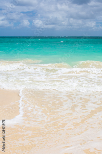 Gorgeous Tropical Island Beach in Hawaii