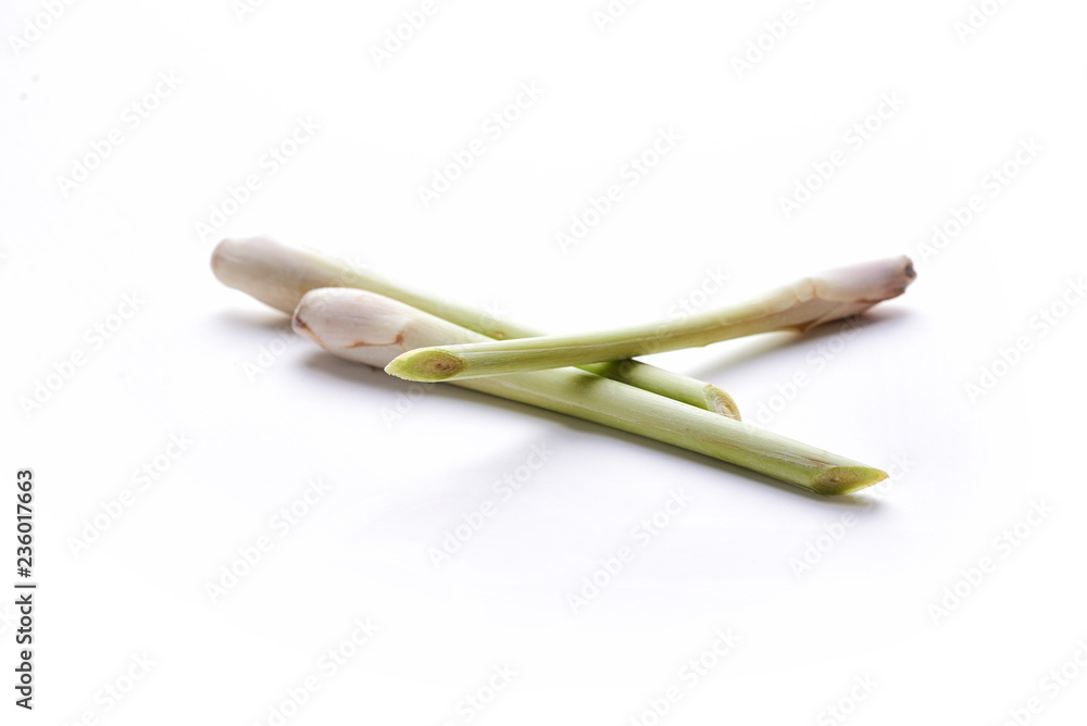 7776694 lemongrass stesms 7776694 lemongrass stesms