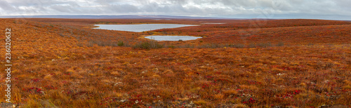 Panorama of the Canadian tundra