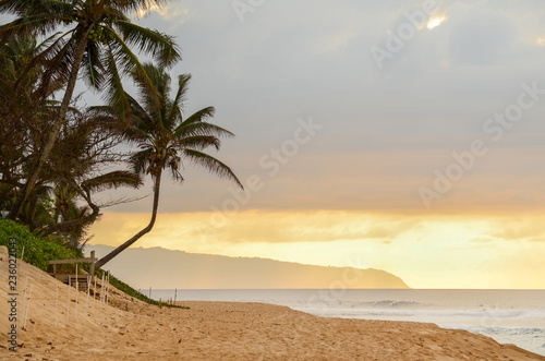 Sun setting over the crooked palm tree, beach and waves on Sunset Beach on the north shore of Oahu, Hawaii, USA