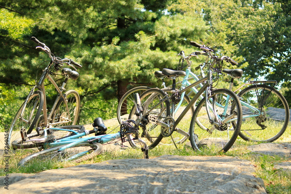 bicycles in park