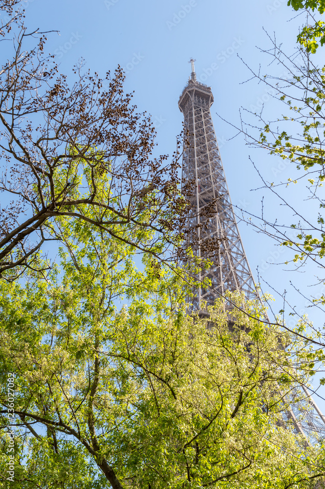 Eiffel tower behind some trees on a sunny spring day
