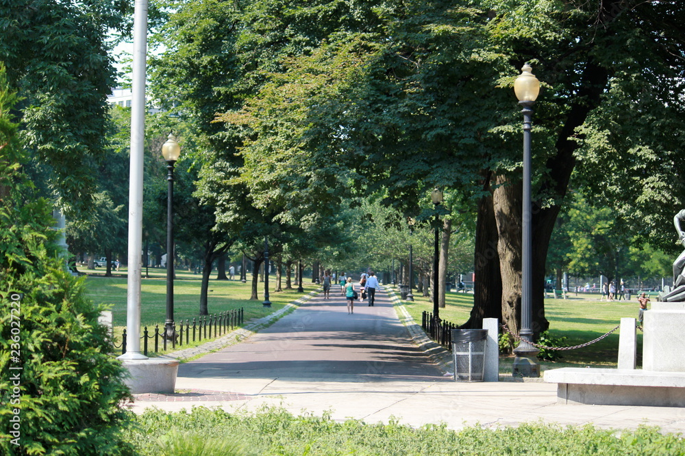 Naklejka premium park in the city