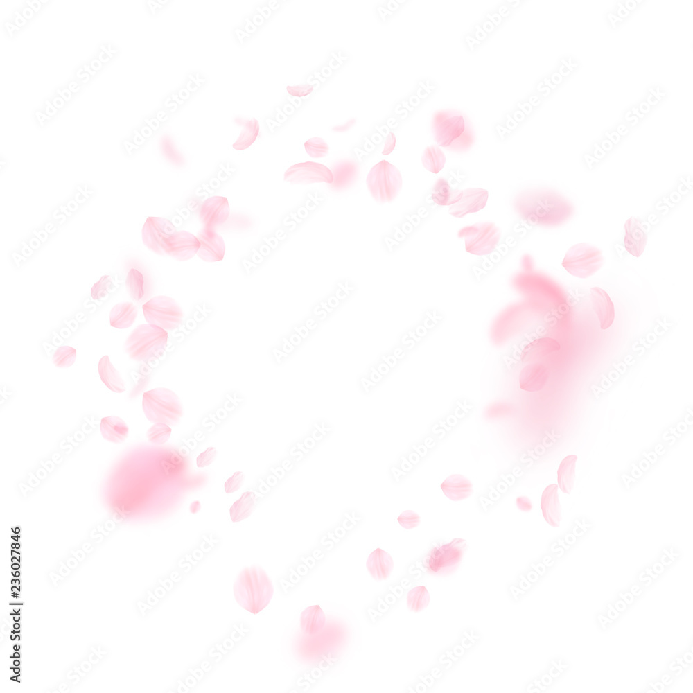 Sakura petals falling down. Romantic pink flowers 