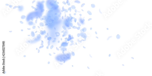Dark blue flower petals falling down. Creative rom