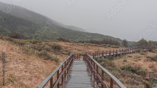 Scenic views of National Park Tierra del Fuego  Ushuaia  Argentina  Patagonia