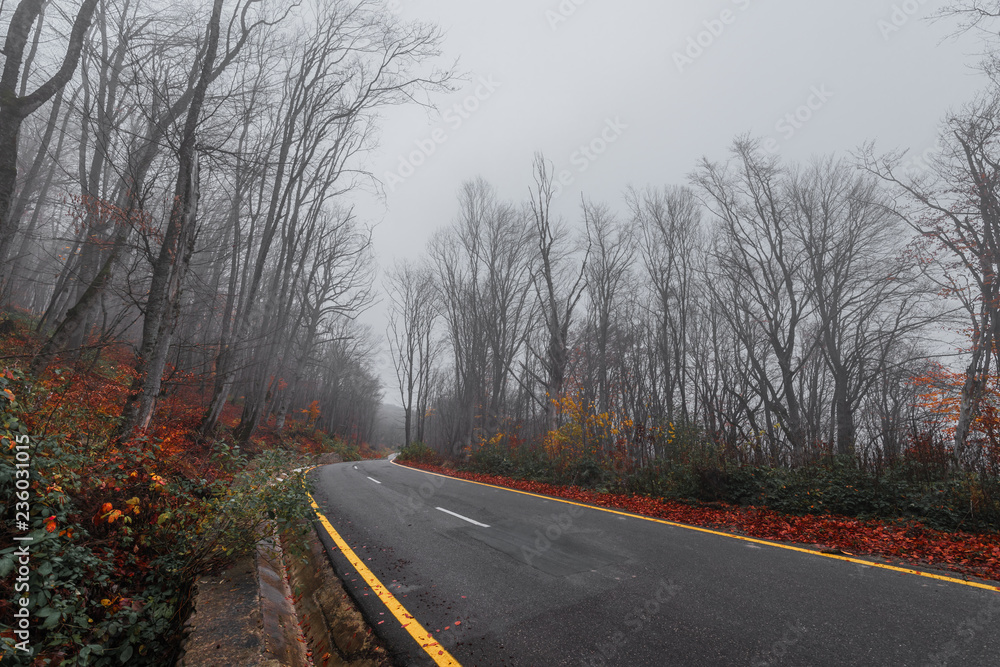 Highway in the autumn mountain forest