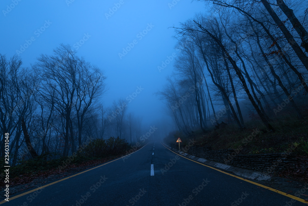 Highway in the foggy mountain forest