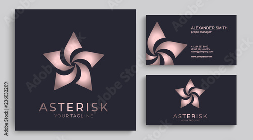 Star logo vector. Universal abstract logo with a star symbol for any business. Star sign - a leader, success and power.
