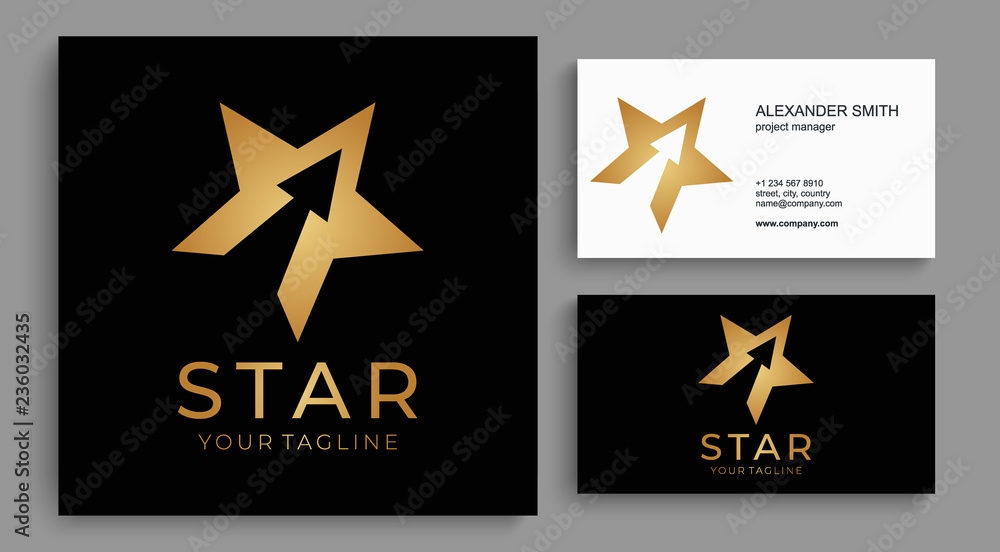 Star logo vector. Universal abstract logo with a star symbol for any business. Star sign - a leader, success and power. Star logo vector. Universal abstract logo with a star symbol for any business. Star sign - a leader, success and power.