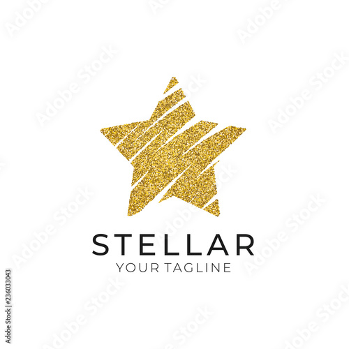 Star logo vector. Universal abstract logo with a star symbol for any business. Star sign - a leader  success and power.