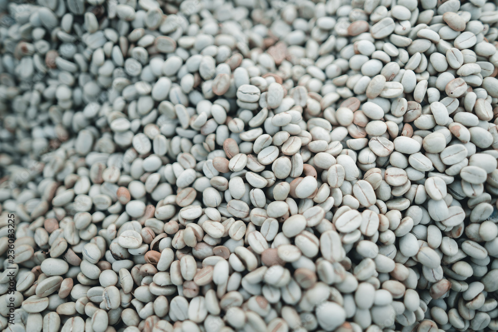 Parchment coffee Dried beans Coffee, Coffee drying in the house Parchment coffee Dried beans Coffee, Coffee drying in the house