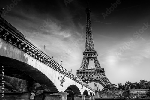 Fototapeta Naklejka Na Ścianę i Meble -  The Iconic Eiffel Tower