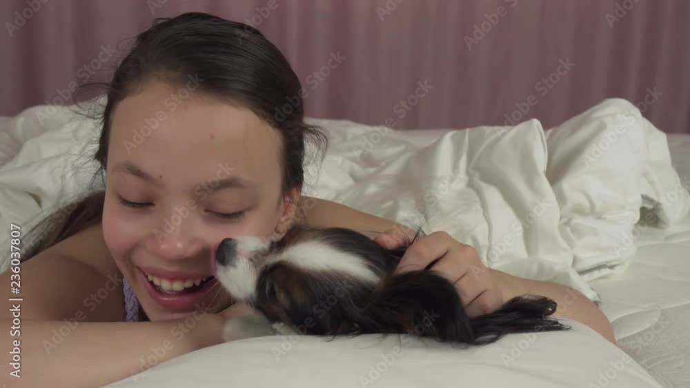 Happy teen girl kisses and plays with dog Papillon in bed stock footage video Happy teen girl kisses and plays with dog Papillon in bed stock footage video