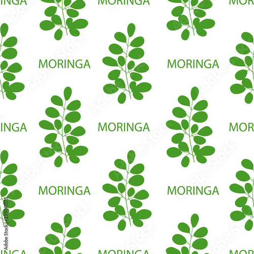 Moringa. Branch, text. Background, wallpaper, texture, seamless. Green silhouette on white background.
