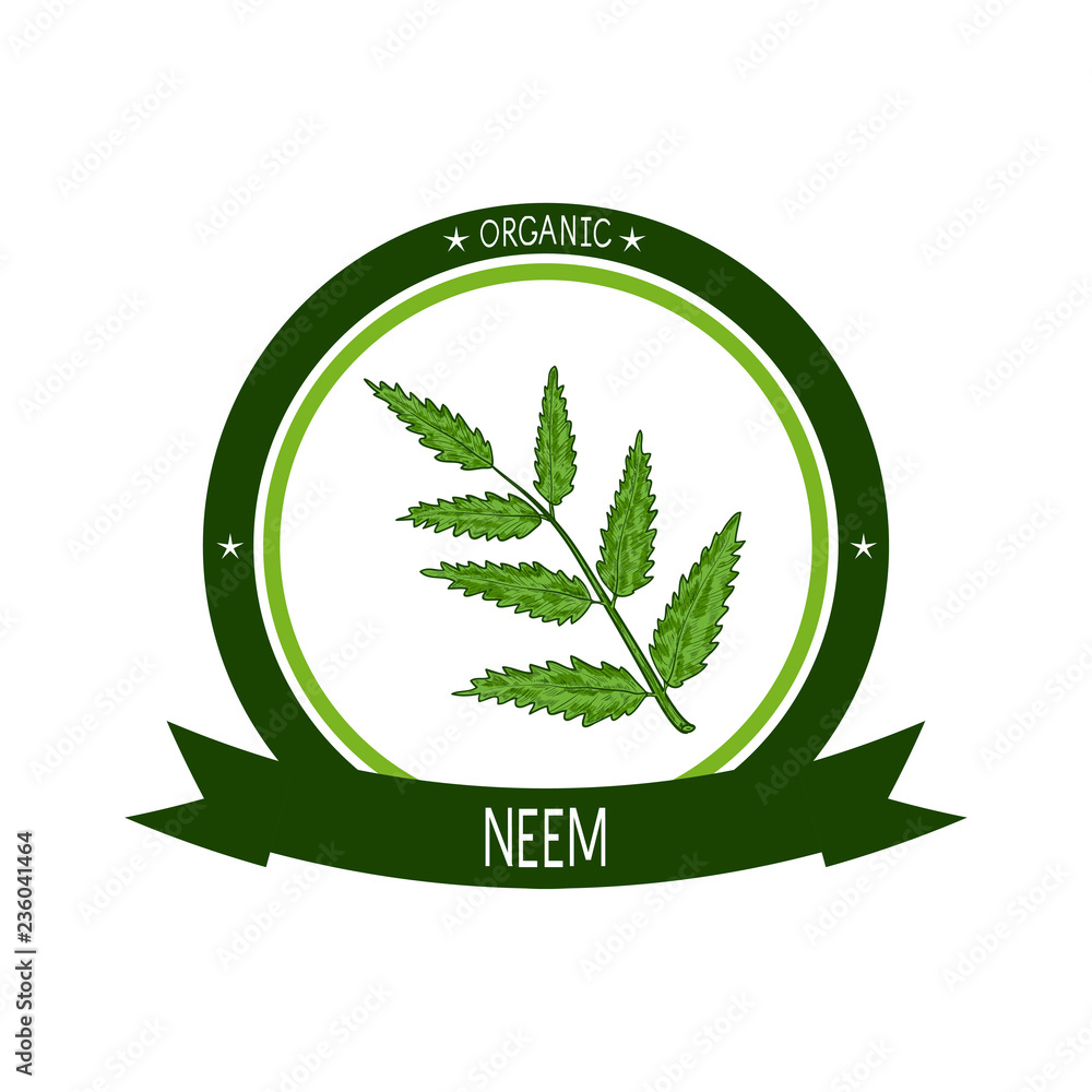 Neem. Plant. Branch, leaves. Sticker, logo, emblem, sign. Sketch. On a