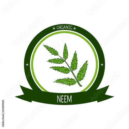 Neem. Plant. Branch, leaves. Sticker, logo, emblem, sign. Sketch. On a white background.