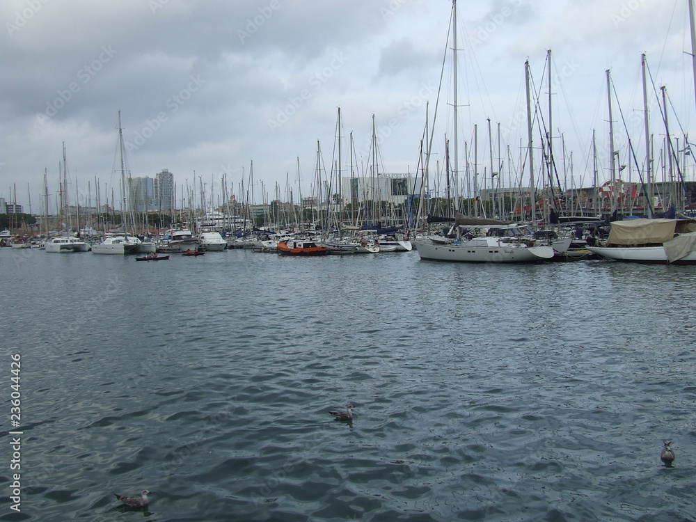 Fototapeta premium VILLE DE BARCELONE - BARCELONA - ESPAGNE - CATALOGNE