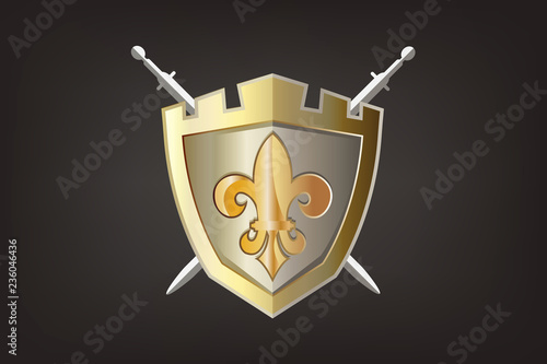 Shield with lis flower logo vector image