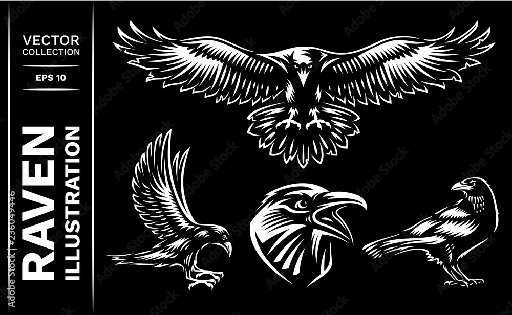 Raven bird collection - vector illustration, logo, emblem black and white, one color.