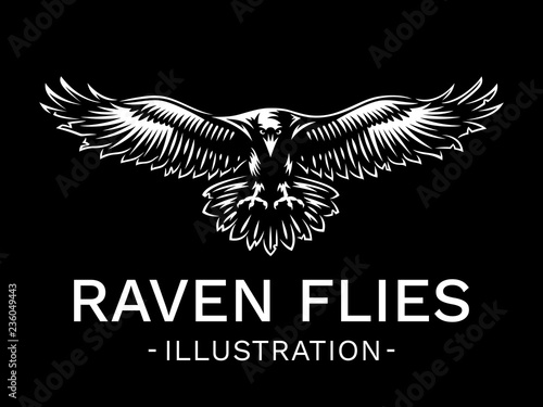 Raven bird in front - vector illustration, logo, emblem black and white, one color.