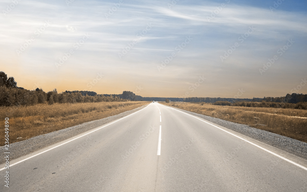 Naklejka premium in a fields at sunset