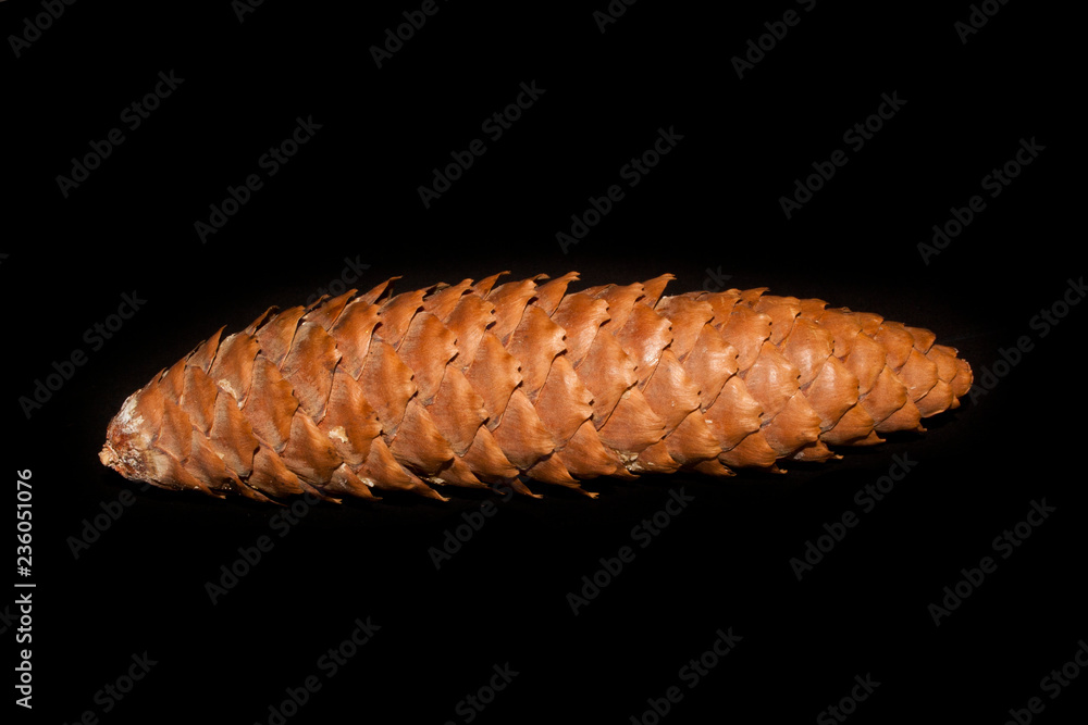 Fototapeta premium cone isolated on black background
