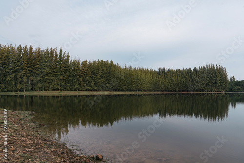 Fototapeta Naklejka Na Ścianę i Meble -  lake view landscape