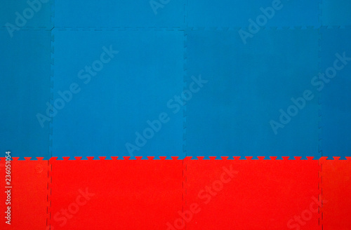 Photography karate tatami mats for competition or training. Top wiew.