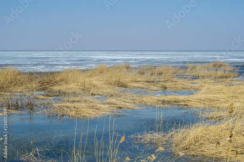 The Korgalzhyn State Nature Reserve  Lake Tengiz  Kazakhstan