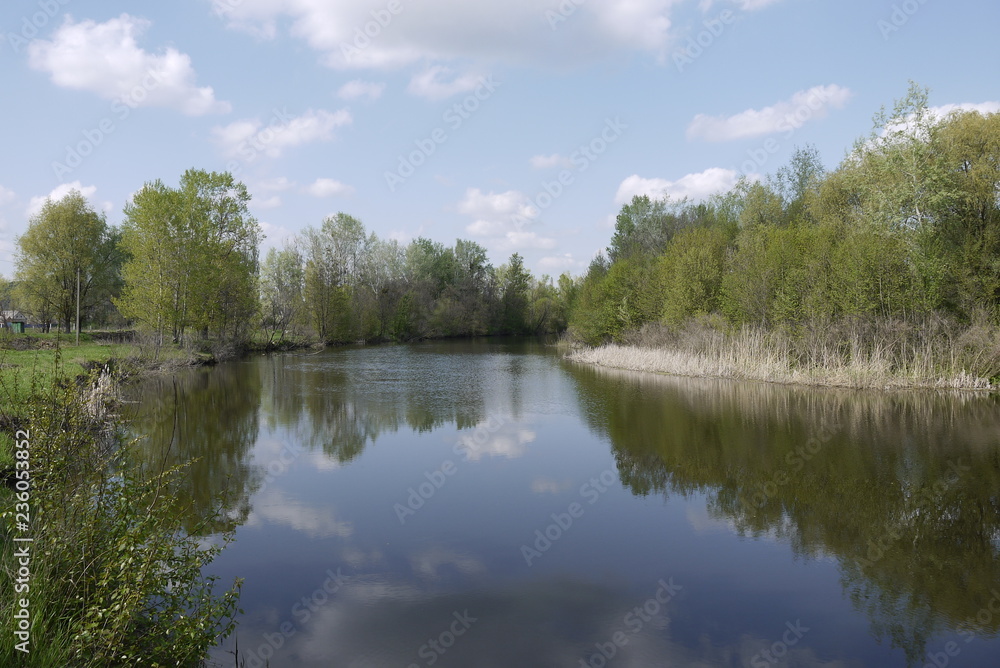 river and forest