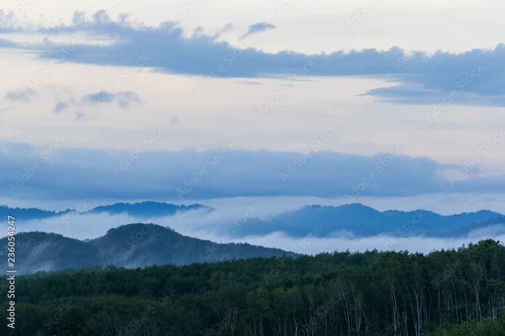 mountains in the fog