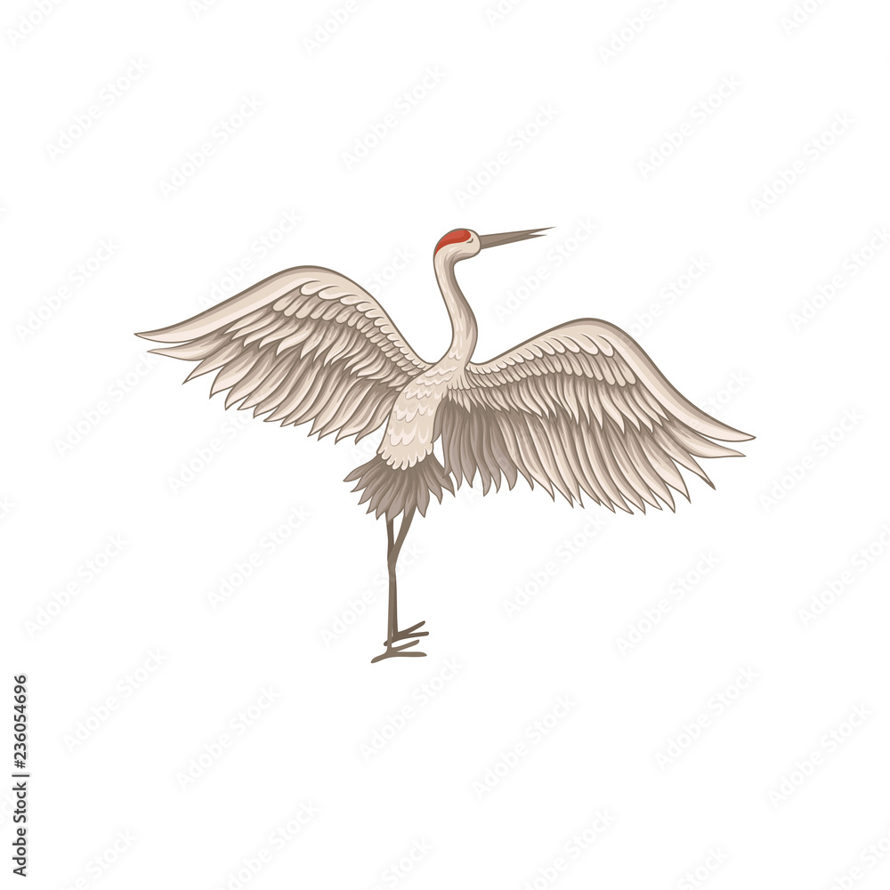 Obraz premium Red-crowned crane standing with wide open wings. Wild bird with long thin beak, legs and neck. Flat vector design