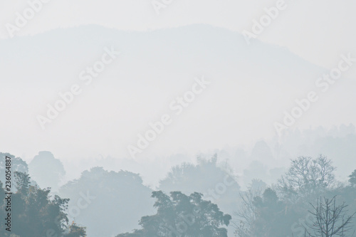 Forest shrouded in fog in the morning time. Tropical Rain Forest in Winter season at Thailand.
