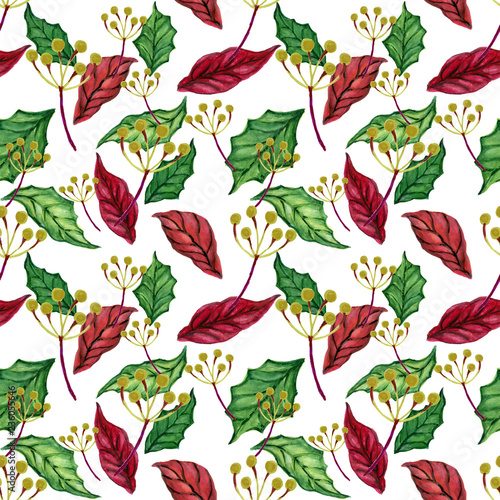 Hand drawn watercolor gouache seamless holiday pattern with different poinsettia flowers and leaves elegant style